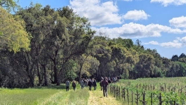 Napa Green and Regenerative Viticulture Foundation Launch One Block Challenge™ in Napa County