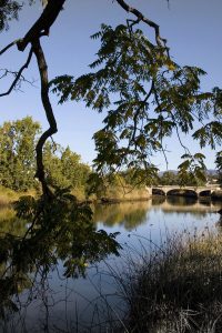 Napa River