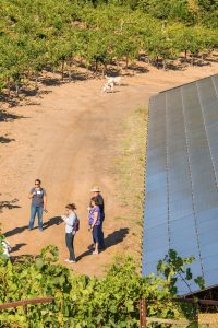 Solar Panels Workshop