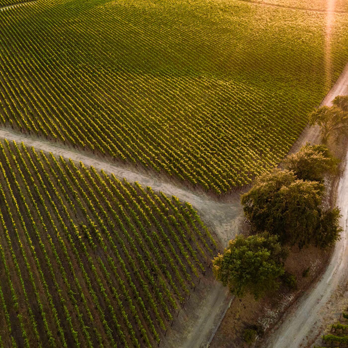 Paul Hobbs – Nathan Coombs Estate