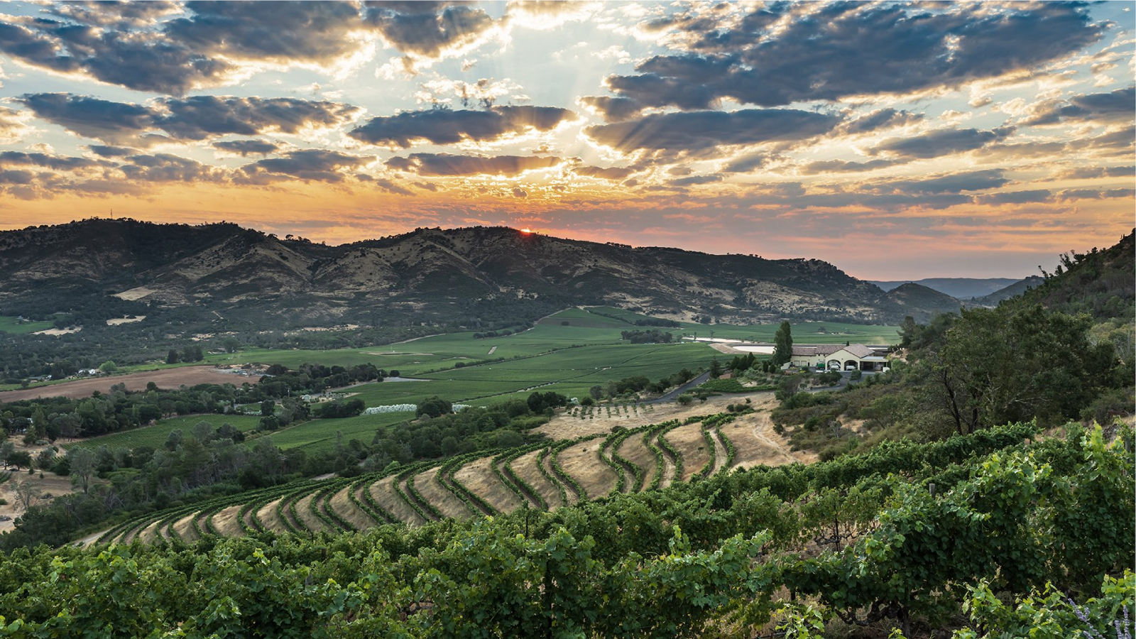 Antinori Napa Valley