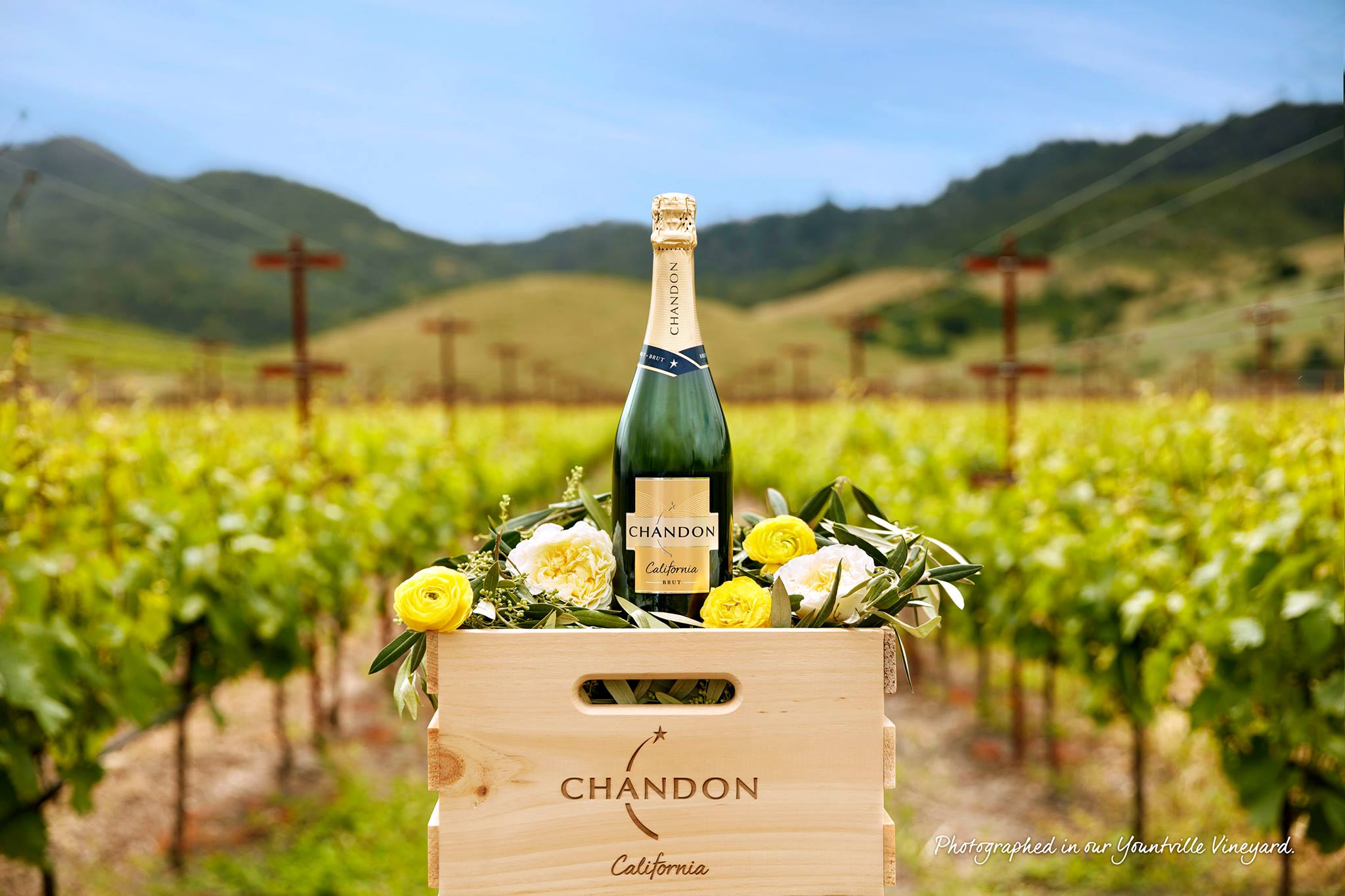 CHANDON