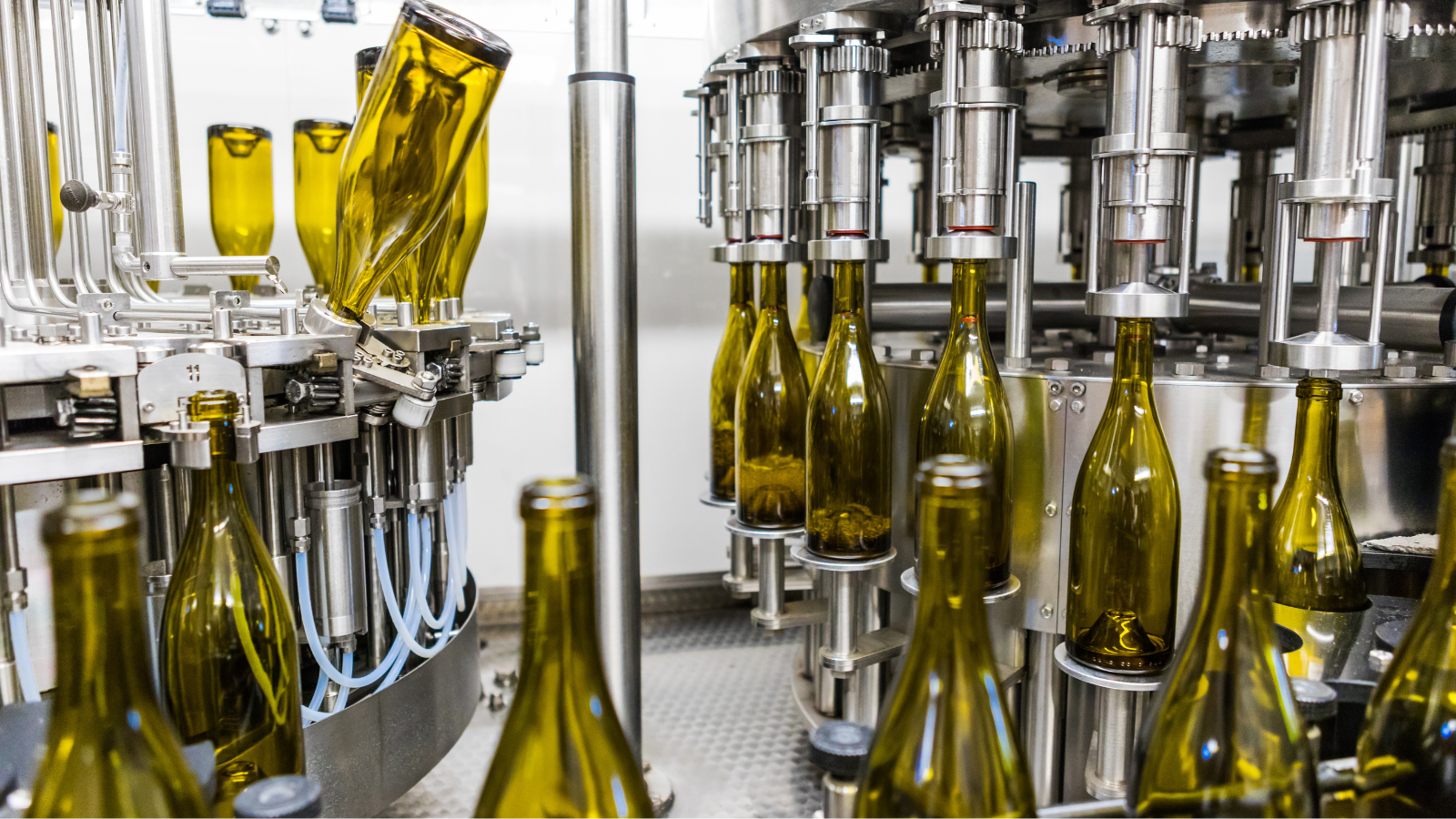 Supply Chain & Waste Prevention 