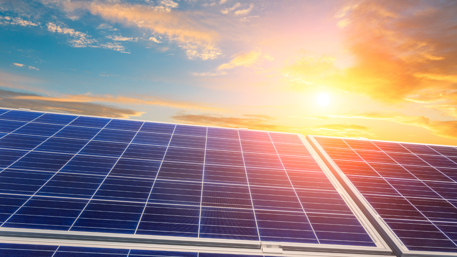 Energy Solutions and Independence for Wineries