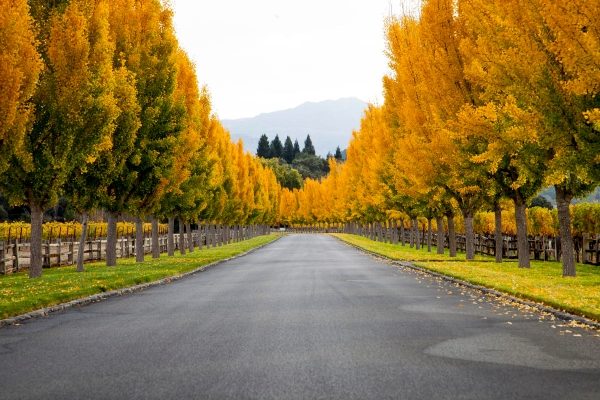 Far-Niente-600x400