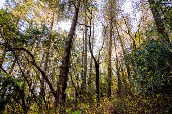 Funding for Landowners