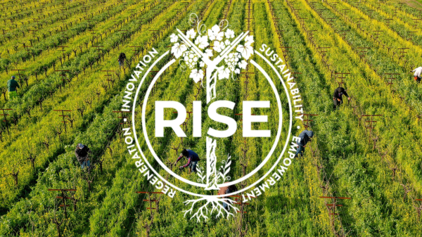 RISE Header